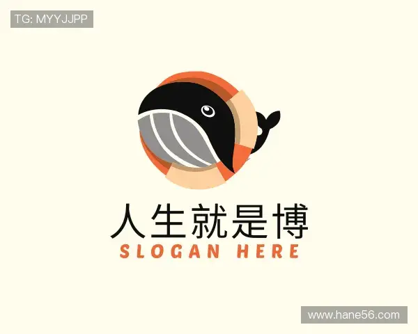 认识人生就是博